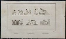 1839 - Agriculture égyptienne