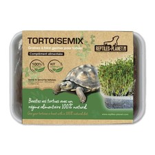 - Tortoisemix - Mélange de Graines à Germer - Nourriture pour Tortues Terrestres
