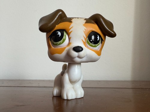 Petshop jack russel 804 - jack,