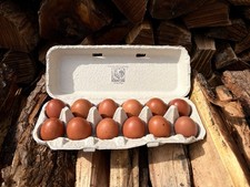 12 + fertile Black Copper