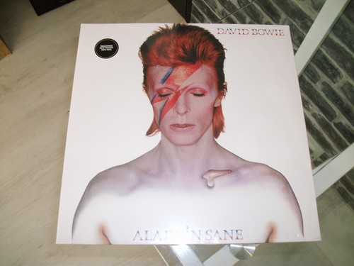 Vinyle 33t david bowie - ,