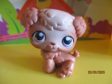 Petshop dog poodle #38 / with pink magnet