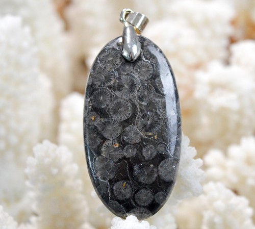 Corail fossile carats - 49,