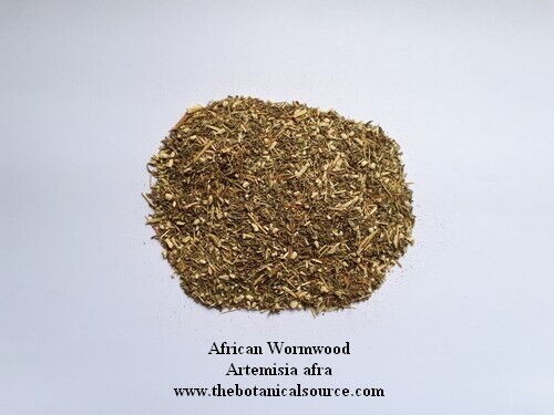 Absinthe africaine artemisia - africaine,