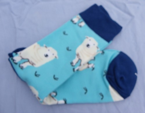 Paire chaussettes homme 42 - paire,