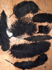 LOT 8 ANCIENNES PLUMES D'