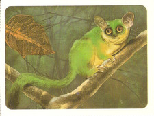 Disney: Animal Sheet - Mickey's Diary Collection - No. 3 - The MAKI