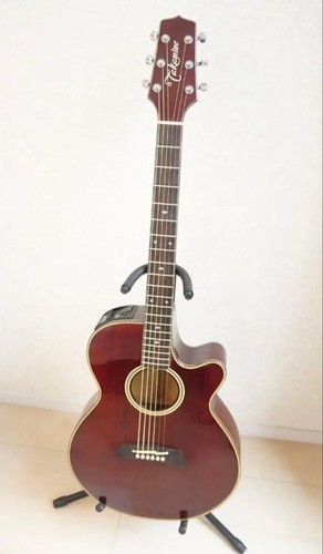 Guitare électrique acoustique