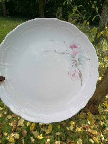 Assiette porcelaine bavaria - assiette,
