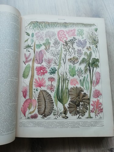 Nouveau larousse illustré - larousse,