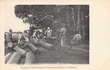 Madagascar - Weighing of ebony wood in the Delacre concession at Anove - Ed. i