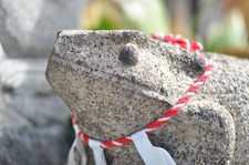 Objectif Nikon NEUF NIKKOR 85