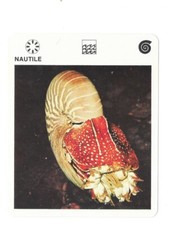 Fiche - Le livre de Paris - 1975 - Nautile