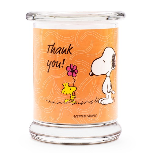 Bougie parfumée snoopy - bougie,