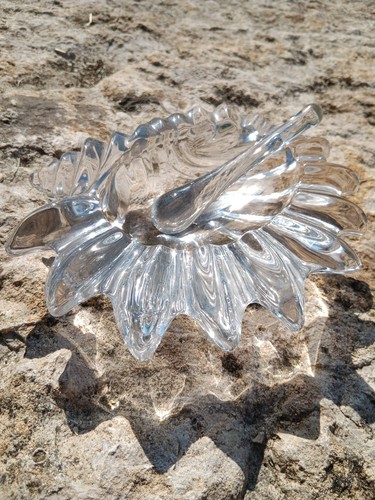 Joli murano conque - conque, lambis