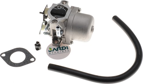 Carburateur compatible avec