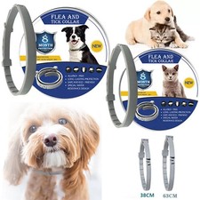 Collier Anti Puces Tiques Moustiques Insectes Animaux Chien Chat Repulsif