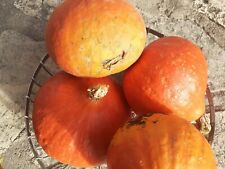 Autocuiseur seb clipso minut perfect 9l  neuf sous garanti