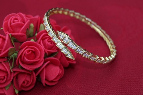 Bracelet serpent bracelet