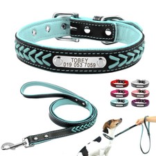 Ensemble Laisse et Collier