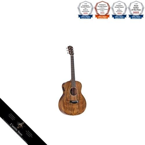 Guitare acoustique électrique - guitare, acoustique-électrique