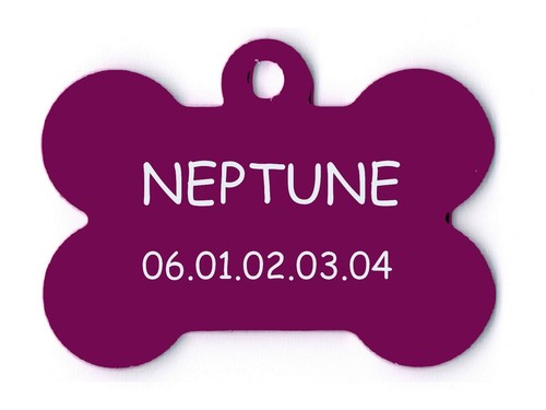 Medaille gravee chien - ou, chat