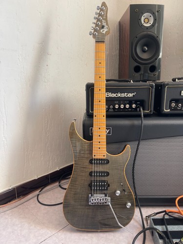 Electric guitar vigier - electric,
