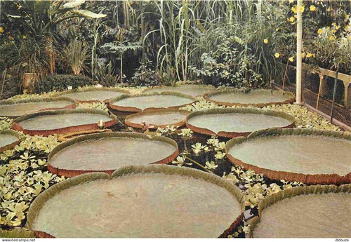 Carte postale angleterre - carte,