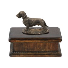 Teckel à poil dur urne basse