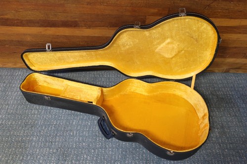 Vintage 1980s acoustic archtop - 1980s,