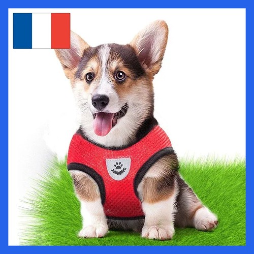 Harnais ajustable pour chiots