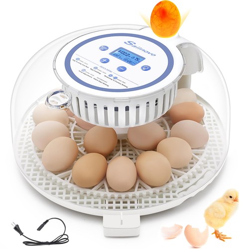 Couveuse oeuf automatique - automatique, 18