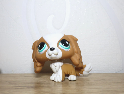 Littlest petshop cavalier king - littlest,