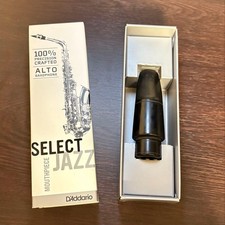 Alto Saxophone Bec