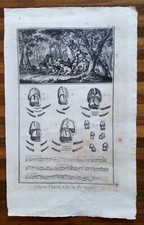 Diderot/d'Alembert: CHASSE, VENERIE, CHASSE DU SANGLIER - WILD BOAR HUNTING. 1765