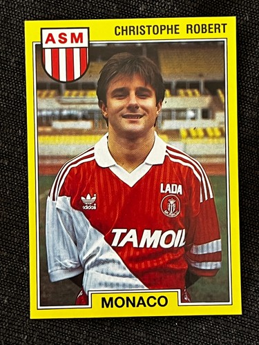 Vignette sticker panini - panini, foot