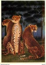 Animals - Beasts - Lion - Art Painting - Keleck Illustration - CPM - Card Ne