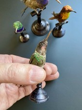 Colibri Gorge Rose Taxidermie