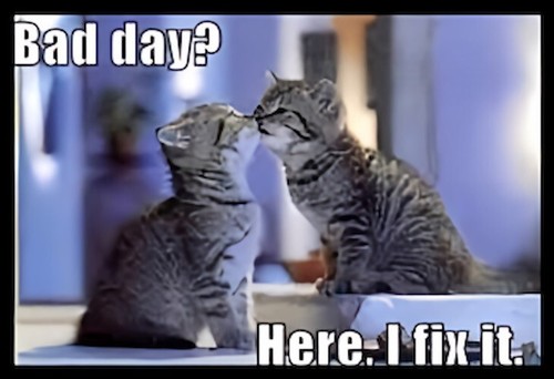 Bad day here fix - bad,