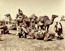 EGYPTE Ca 1880  - Caravane de