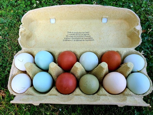 Oeufs poules pondeuses - 12,