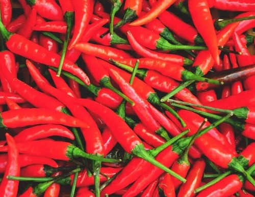 Graines piment oiseau - piment,