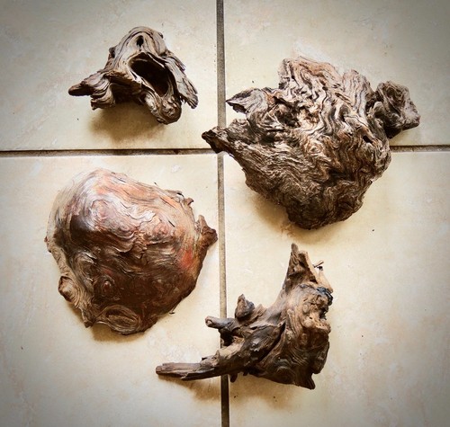 Lot natural driftwood - 4,
