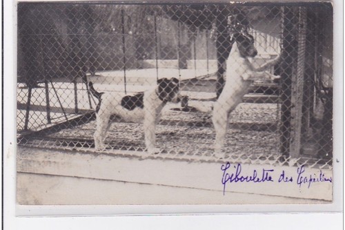 Cyprien carte photo - :,