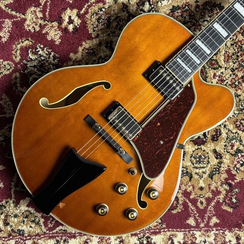 Ibanez af95 avec étui - avec,
