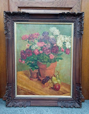 Superbe grande HST nature