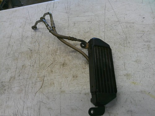 1999 2001 triumph - 1999-2001,