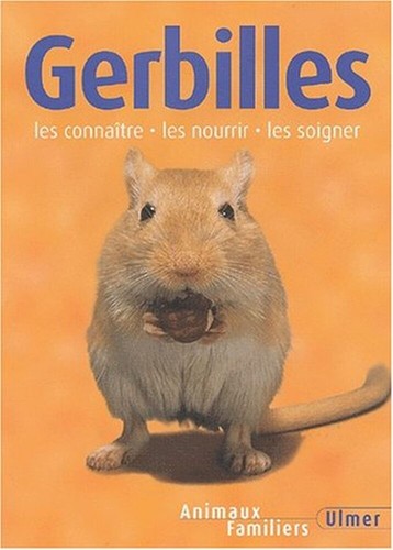 Gerbilles les connaître - gerbilles.,