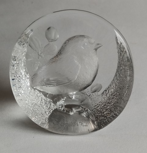 Oiseau cristal - oiseau,