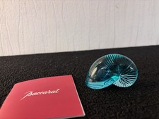 Nautile coquillage bleu